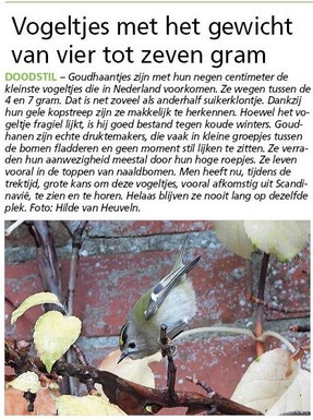 Ommelander Courant 27-11-2025