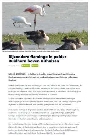 www.ommelander.info 12-08-2025