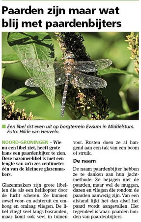 Ommelander Courant 25-09-2025