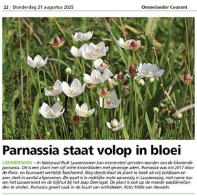 Ommelander Courant 21-08-2025