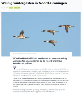 Ommelander Courant 05-01-2026