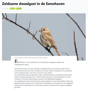 www.ommelander.info 02-10-2025
