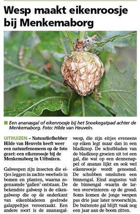 Ommelander Courant 01-09-2025
