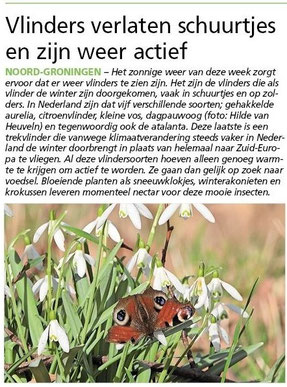 Ommelander Courant 05-03-2026