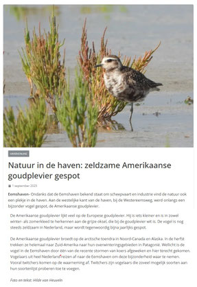 www.eemsaven-online.nl 01-09-2025