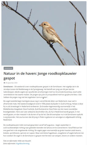 www.eemshavenonline.nl 28-09-2025