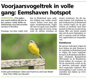 Ommelander Courant 16-04-2026