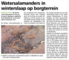 Ommelander Courant 13-11-2025
