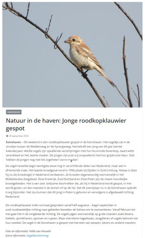www.eemshavenonline.nl 28-09-2025