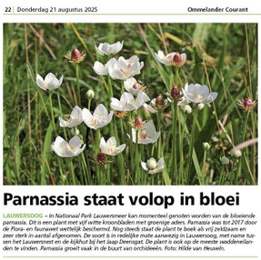 Ommelander Courant 21-08-2025