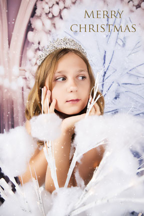 sceneria sesji swiatecznej