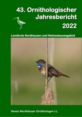 Titelbild: Blaukehlchen, Teiche Steinbrücken am 31.05.2020, Foto A.Hamdorf