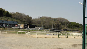 乗馬クラブ「クレイン」