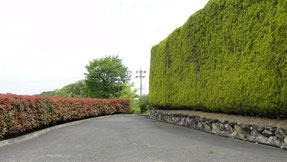 富田林　温泉
