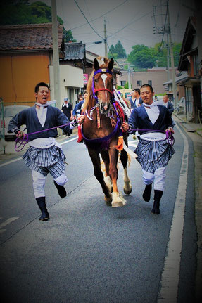 2014 御霊会風流 東郷馬