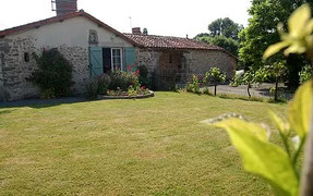LE PIN PARASOL