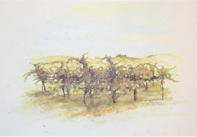 Bei Gumpoldskirchen - verkauft