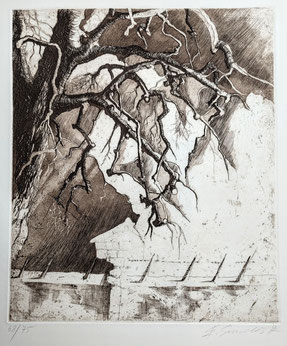 Smodics Erich Radierung Bewachter Garten