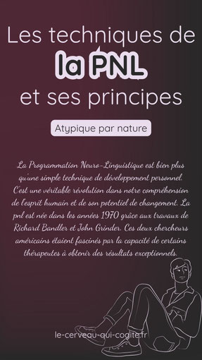 les techniques de la pnl et ses principes