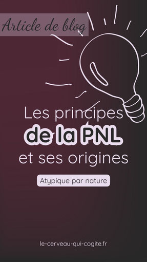 les principes de la pnl et ses origines