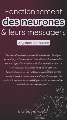 fonctionnement des neurones et des neurotransmetteurs