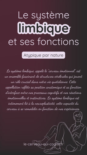 le système limbique et ses fonctions