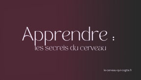 Apprendre : les secrets du cerveau