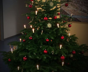 Tipps für die Pflege von Weihnachtsbäumen, Hofgut Männle Oberkirch Bottenau