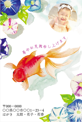 販売中】オリジナルかもめ〜るを使って送る暑中見舞いはがき
