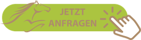 Active Horse Pferdestallsysteme Einführungskation Pferde Boxenfütterung Jetzt Anfragen