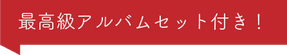 最高級アルバムセット付き！