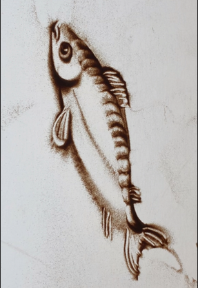 サンドアートパフォーマンスで描いた魚（１分くらい）