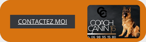 Bouton prise de contact orange et logo coach canin 16 educateur canin en charente