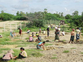 村の人々と協力して行った植林活動