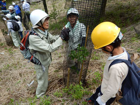 さまざまな国籍・年代の参加者が共に活動した（富士山の森づくり）