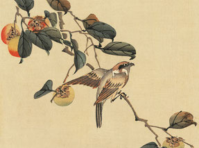 illustrazione di uccelli in stile giapponese, poetica e silenziosa, associata alla pratica Haiku