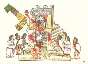 Image extraite du Codex Magliabechiano