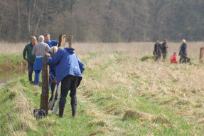 Bild: NABU-Mitglieder stellen an der Rodau Pfähle auf. Schon nach dem ersten Jahr Beweidung der Fläche steigt die Artenvielfalt wieder. (Foto: R. Meyer)