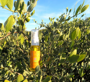 ♔ CLASSIC JOJOBA OIL "JOJOGOLD"