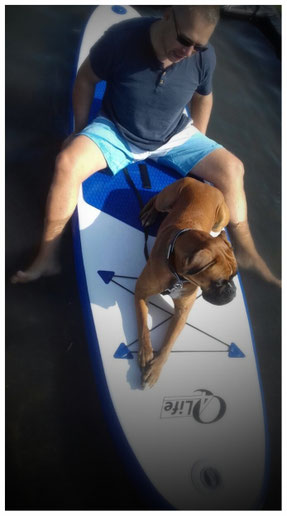 Stand up Paddling mit Hund strong dog Boxer vonderwaldnielerheide 