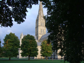 Kathedrale von Salisbury durch grüne Bäume hindurch ©My own Travel