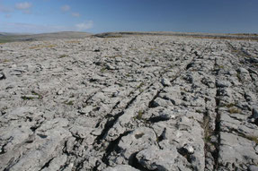 Die karge Landschaft der Burren ©My own Travel