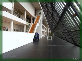 Foto: W. Müller