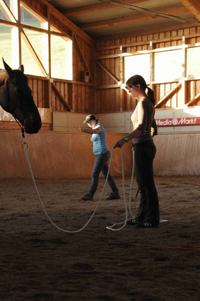 horsemanship training