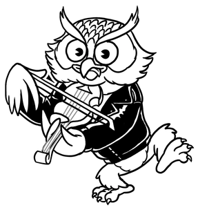 Owl by Water Tower Band