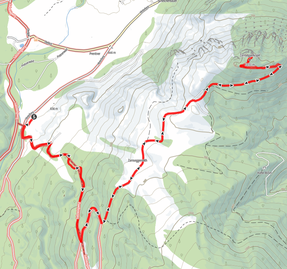 Zamseggerkogel, Bärenalm, Zamseggerreith, Wandern, Oberösterreich, Pyhrn Priel