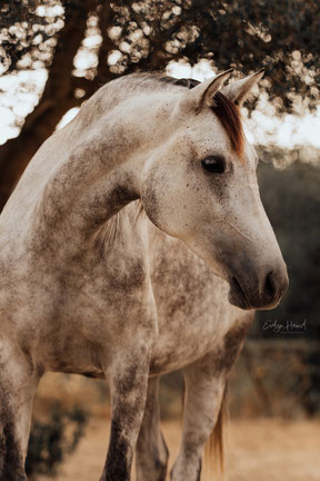 Foto von Clara Zeyffert