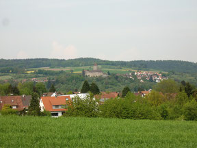 Blick auf Oppenweiler vom Staigacker aus