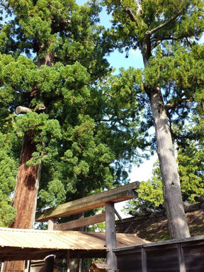 豊受大神宮(外宮)