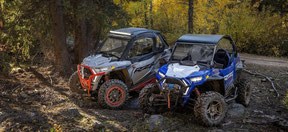 NEW POLARIS RZR TRIAL S